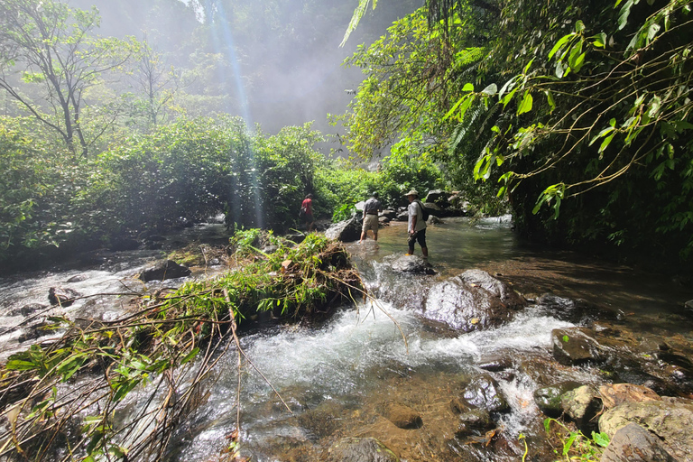 Bali Hidden Trekking, Wasserrutsche, Sekumpul, &amp; Fiji WasserfallAbholung vom Hotel und Rücktransfer zum Hotel inbegriffen