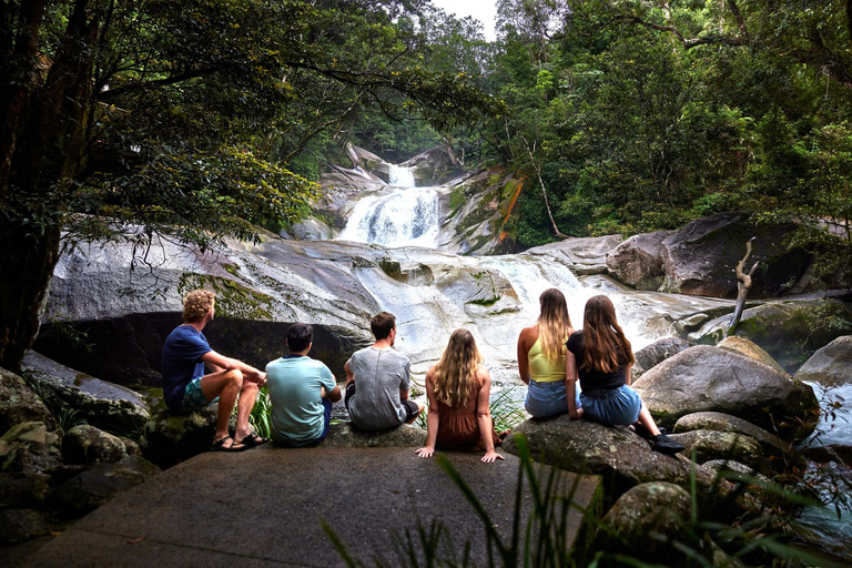 Cairns: 3-Day Daintree, Cape Tribulation & Port Douglas Tour Private Single Room (Adults only)