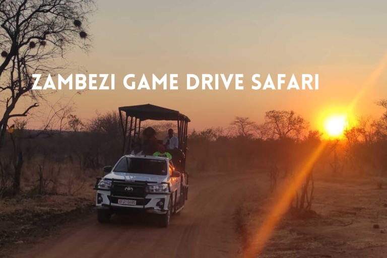 Victoria Falls: Zambezi Game Drive SafariKleingruppentour