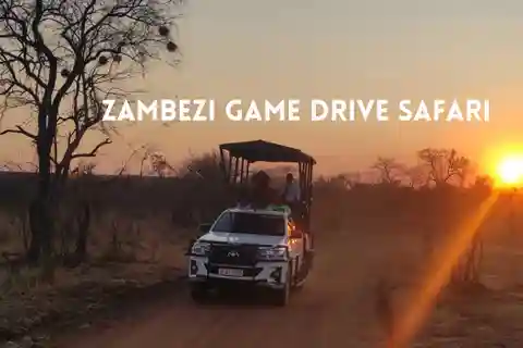 Victoria Falls : Safari en voiture dans le Zambèze