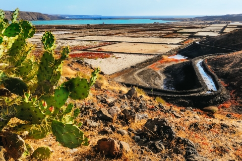 Lanzarote : volcans de Timanfaya, grottes et déjeunerDécouverte de Lanzarote, visite guidée en bus