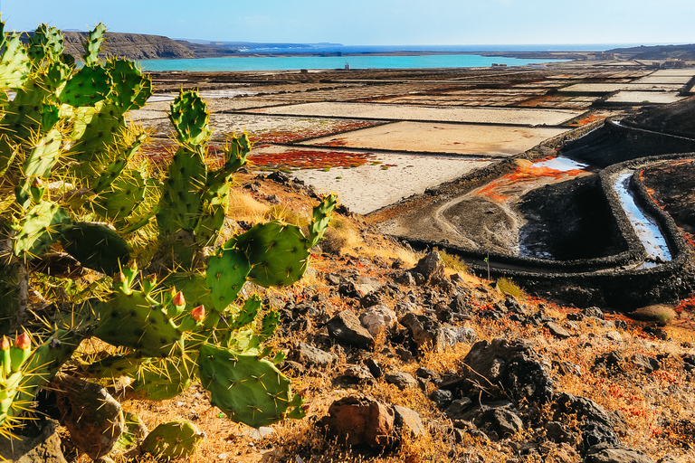 Lanzarote: Volcanos of Timanfaya, Caves, & Lunch Discover Lanzarote, Guided Bus Tour