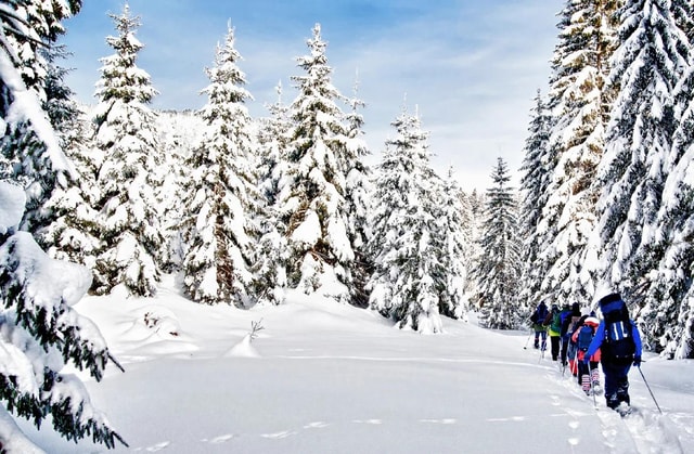 Vancouver:Guided Snowshoe Adventure in North Shore Mountains