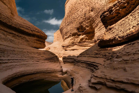 Paracas: Ballestas Islands, Reserve, Huacachina, and Cañón de los Perdidos 2 Days Paracas: Ballestas Islands, Reserve, Huacachina, and Canyon of the Lost 2 Days