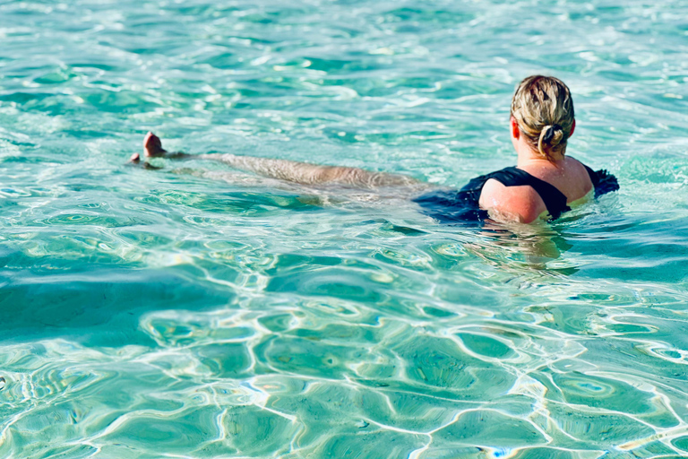 Sharm: Small Group White Island & Ras Mohammed Boat Cruise Small Group White Island & Transfer, without Snorkel Gear