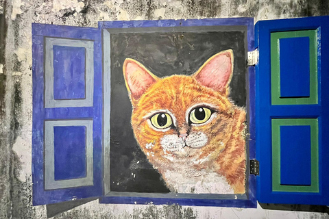 Georgetown Street Art Tour & Mix Culture Local Food Tasting