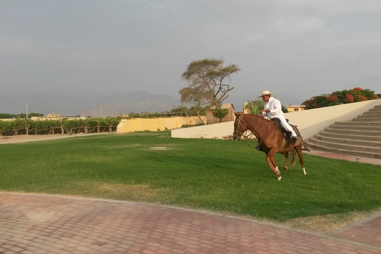 Horseback Riding at Caravedo Hacienda