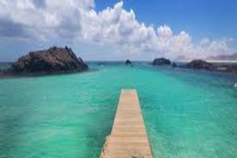 Isla de Lobos: Ferry + Mini Submarine Cruise + free time Fuerteventura Express: Transport & Ferry Lanzarote - Fuerteventura