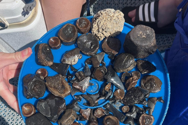 Folly Beach: Morris Island Boat Tour with Fossil Hunting