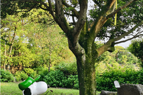 South Korea: Snoopy Park Skip-the-Line Tickets