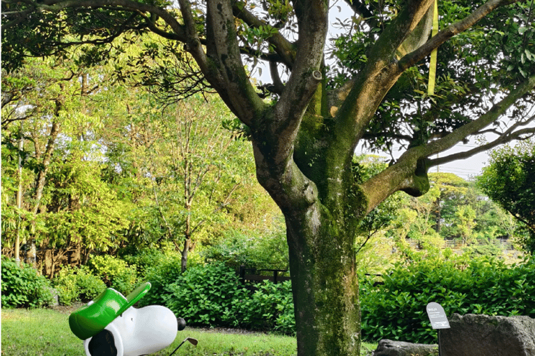 South Korea: Snoopy Park Skip-the-Line Tickets