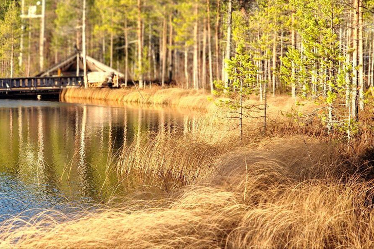 Helsinki: Buggy Ride, Reindeer Farm Visit, and Picnic