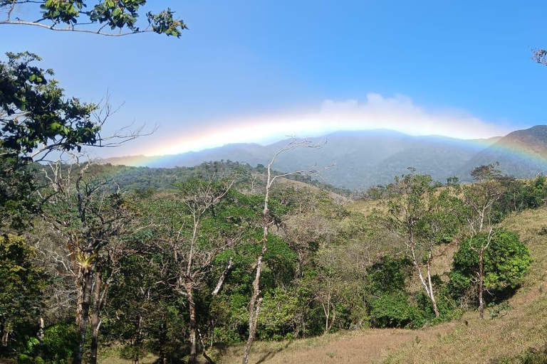 Los Planes de Gualaca Waterfalls Tour