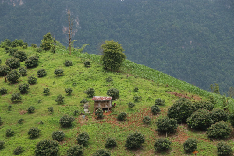 Chiang Mai: Full Day 5 Hill Tribes Tour Transport by Van
