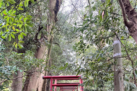 Kanazawa: Zen Calligraphy Experience at a Historic Temple