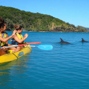 Noosa: Epic Ocean Kayak with Dolphins & 4WD Beach Adventure Noosa: Epic Ocean Kayak with Dolphins & 4WD Beach Adventure