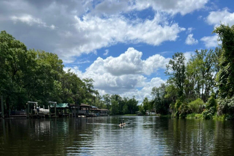 Jacksonville FL: Avventura in kayak sul fiume OrtegaNoleggio di 1 ora di kayak in tandem