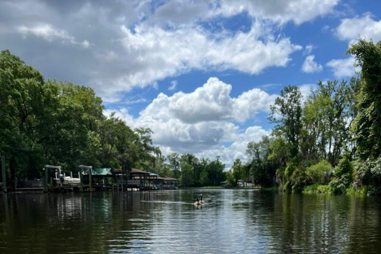 Jacksonville FL: Avventura in kayak sul fiume OrtegaNoleggio di 1 ora di kayak in tandem