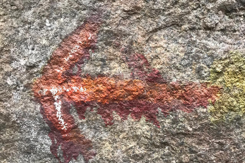 From Negombo: Maligathenna & Pilikuttuwa Temple Hike