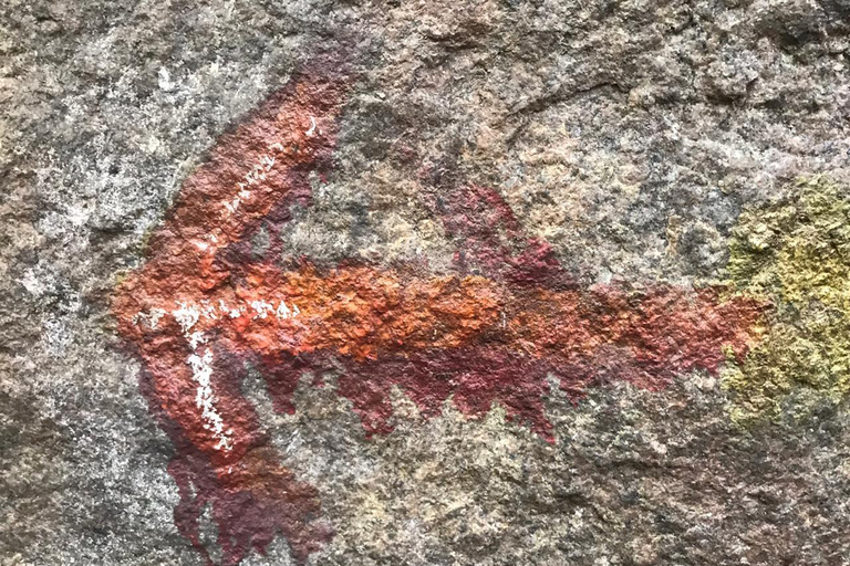 From Negombo: Maligathenna & Pilikuttuwa Temple Hike