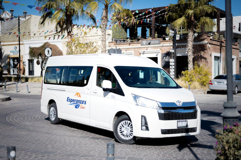 Los Cabos: San Jose del Cabo Art Walk and Beer Tasting Tour Los Cabos: San Jose del Cabo Art Walk and Beer Tasting Tour