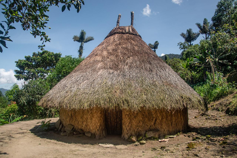 Santa Marta: 5-Day Lost City Trek with Indigenous Village