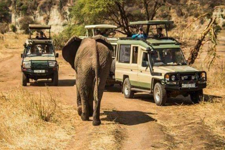 5 dias - Serengeti e Cratera de Ngorongoro