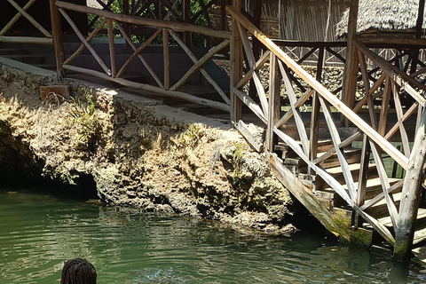 Swimming with turtles at The Lagoons Zanzibar in Nungwi Pickup from Nungwi/kendwa without entrance tickets (10$pp)