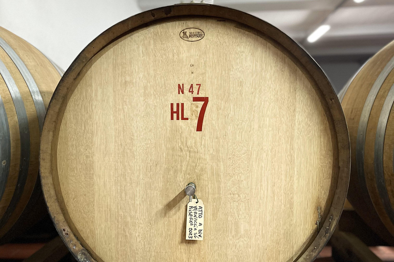 San Gimignano: Vineyard and Cellar Tour with Wine Tasting