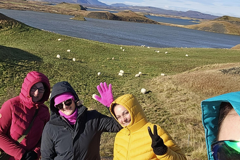 From Akureyri: Lake Mývatn & Dettifoss Private Tour