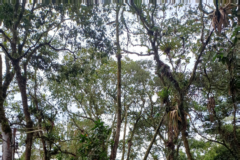 PEREIRA: VISIT TO THE SANCTUARY OF THE VIRGIN OF JORDAN + TRANSPORTATION AND LUNCH