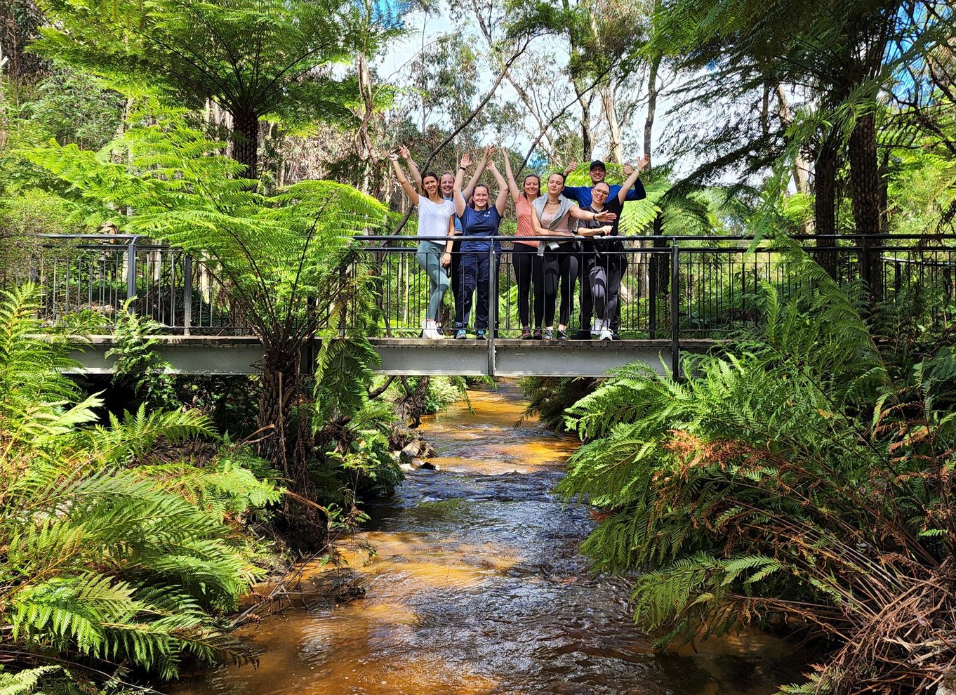 Fra Sydney: Blue Mountains-tur med vandfaldsvandring og frokost