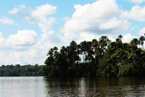 Mother of God: Saldoval Lake + Visit to the Macaws