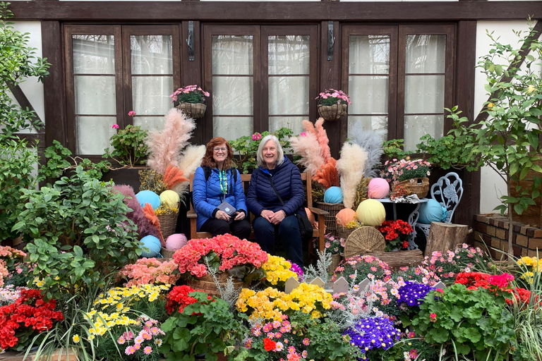 Osaka: Private Shore Excursion to Kobe, Kyoto, Nara or Osaka 8-hour tour