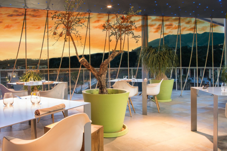 من مالقة: منتجع هيغيرون الصحي وتناول الطعام الفاخر - سيارة تيسلا X الفاخرة