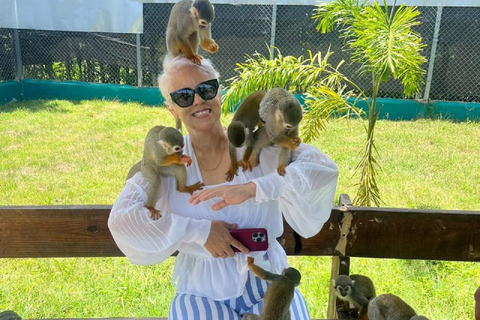 Puerto Plata: Monkey Home Encounter Adventure