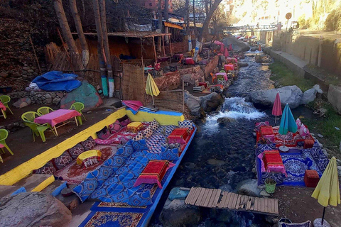 Marrakech : day trip to Ourika valley lunch + guid walk