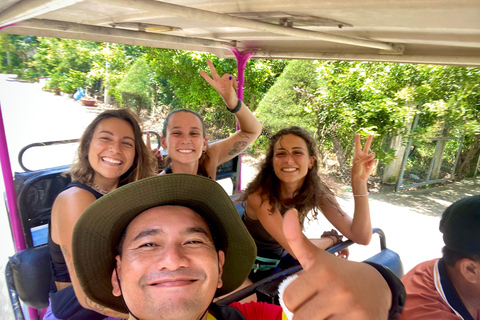 From HCM: Mekong Delta &amp; Cai Rang Floating Market 2 Day Tour