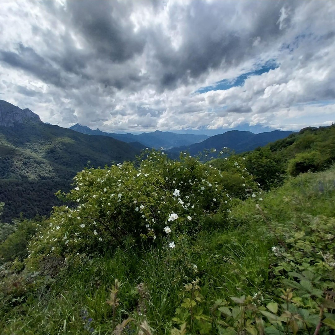 Galería de fotos para redes