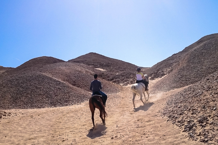 El Gouna : Randonnée à cheval dans le désert et la mer avec baignade en option1 heure de quad + 1 heure d&#039;équitation — Combo double aventure