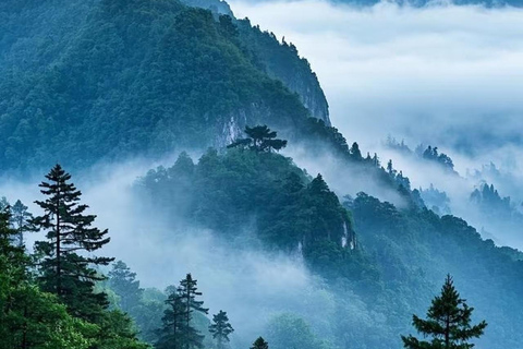Dujiangyan & Qingcheng Mountain Ticket: World Heritage Dujiangyan Scenic Area Tickets