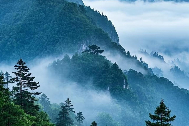 Dujiangyan & Qingcheng Mountain Ticket: World Heritage Dujiangyan Scenic Area Tickets