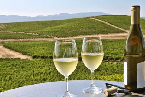 From San Jose: Small Group Napa & Sonoma Valley Wine Tour