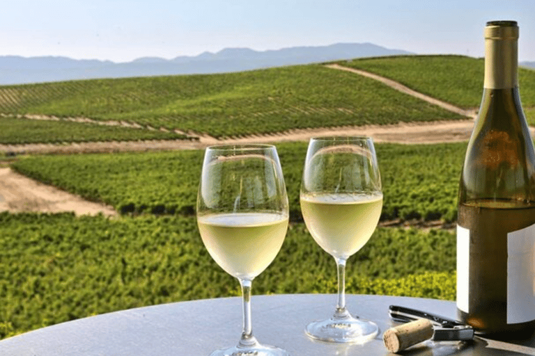 From San Jose: Small Group Napa & Sonoma Valley Wine Tour