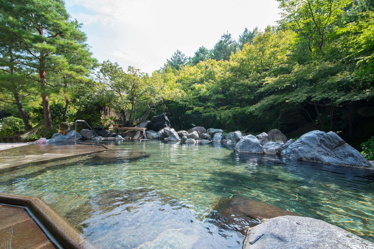 Nagoya: Nagashima Outlet Mall & Nabana no Sato Park Trip Nagoya: Nagashima Outlet Mall and Nagashima Spaland