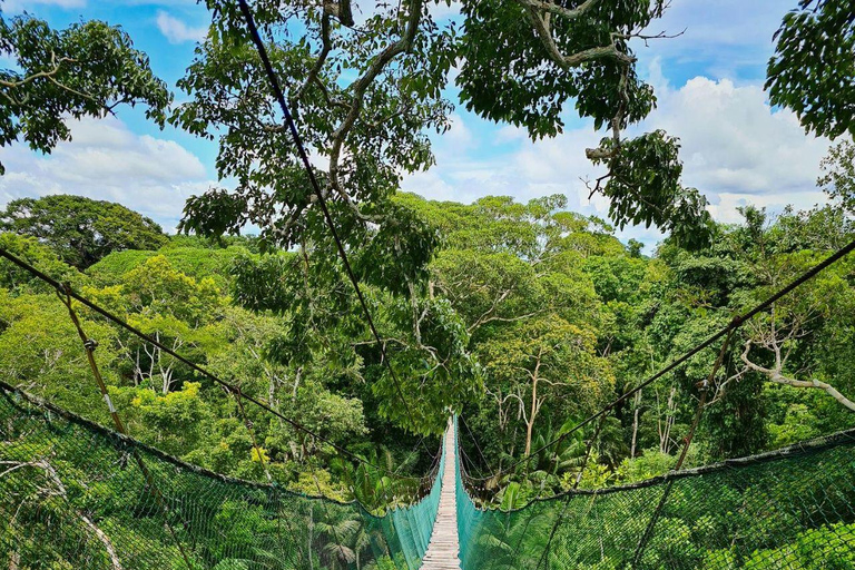 Iquitos: 4-Day Amazon Camp Jungle Tour Iquitos: 4-Day Amazon Camp Jungle Tour for 1 Person