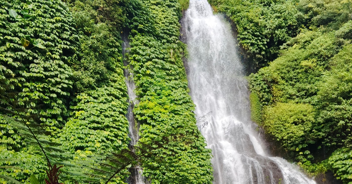 Tur Guide Bali Bali: Tur i norra Bali med Yeh Hoo-vattenfallet | GetYourGuide
