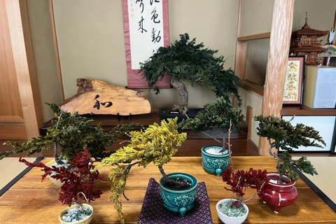 Kyoto: Workshop de bonsai seco