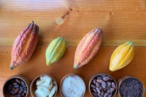 Oahu: Chocolate Farm Tour with Tasting - Kamananui Cacao