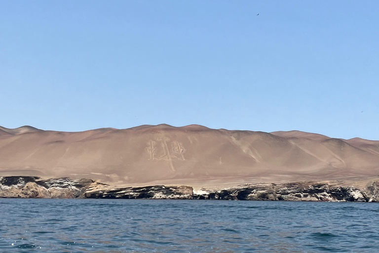 From Ica: Ballestas Islands and Paracas National Reserve. Private from Ica: Ballestas Islands and Paracas National Reserve.